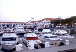 Docking Facilities
